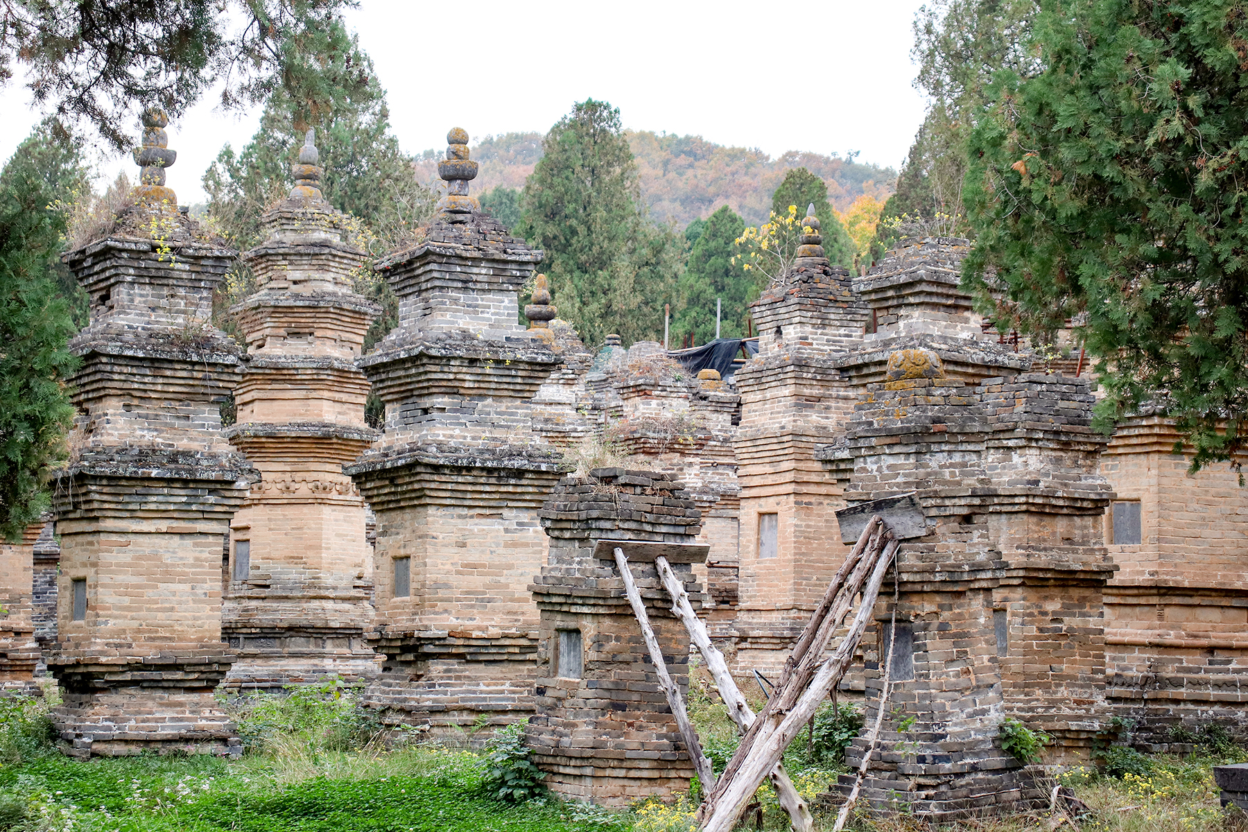 Bosque de Pagodas Shaolin
