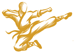 Kung Fu Infantil