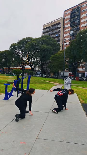 Disciplina y Cultivo Chan Shaolin