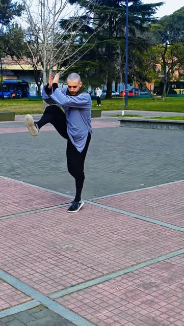 Formas y Técnicas de Shaolin Pechan